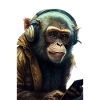 Monkey