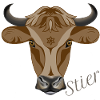 Sternzeichen Stier