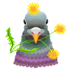 Dandelion pigeon