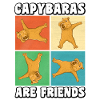 Les Capybaras sont amis