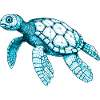 Beautiful sea turtle in blue