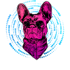 Bouledogue français