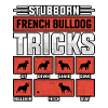 Stubborn French bulldog tricks