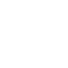 Reiki Master and Energy shifter