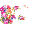 flowers,flower,spring,blossoms