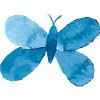 Papillon bleu