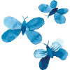 Trois papillons aquarelle bleue