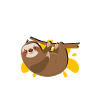 Sloth
