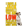 I have a Jack Russell