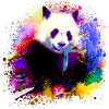 panda,pandabär,bunt,graffiti,malerei,pink