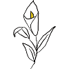 Blume