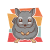 Chinchilla Grandpa owner Chinchillas gift