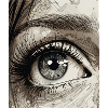 Close Up Human Eye Design