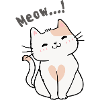 Conception de chat miaou