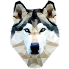 Husky Dog Polygon