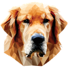 Polygone de chien Labrabor