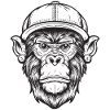 Funky Monkey