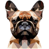 French Bulldog Polygon