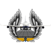 B 747