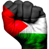 Puño Palestina