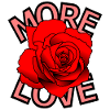 Liebesrose