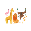 Future Zoologist Birthday Wildlife