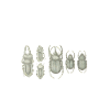Future Zoologist Birthday Wildlife