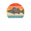 Walleye Fishing Anglers