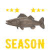Walleye Fishing Anglers