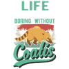 Coati Gift Proboscis Coati