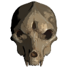Skull with fangs