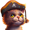 Pirate Cat Cat Pirate