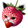 Chat fraise