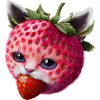 Chat fraise