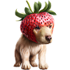 Chien fraise