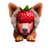 Chien fraise