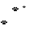 Top Dog