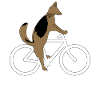German Shepherd on bike