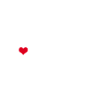 White Shepherd Dog Shepherd Dogs