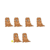 Chow Chow Dog
