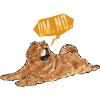 Chow Chow Dog
