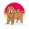 Chow Chow Dog