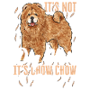 Chow Chow Dog