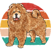 Chow Chow Dog