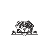 Australian Shepherd Gifts