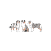 Australian Shepherd Gifts