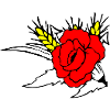 Coquelicot