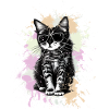 Cool cat with sunglasses