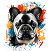 Bouledogue français