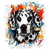 Dalmatian Dog